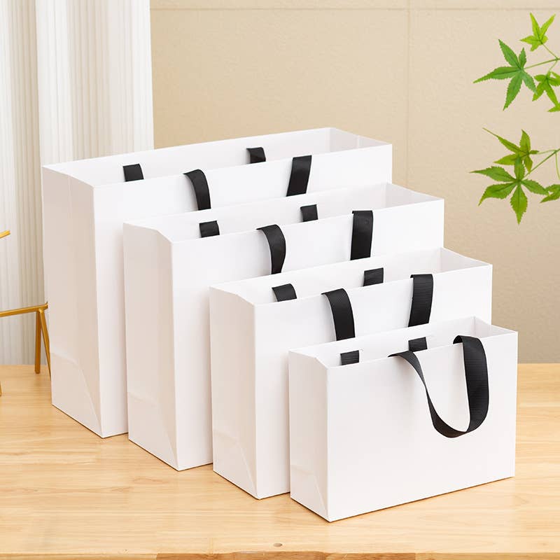 premium Threaded Rope White Gift Bag w/ free tissue
