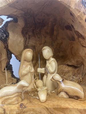 E39 - Large Grotto made from Roots of the tree