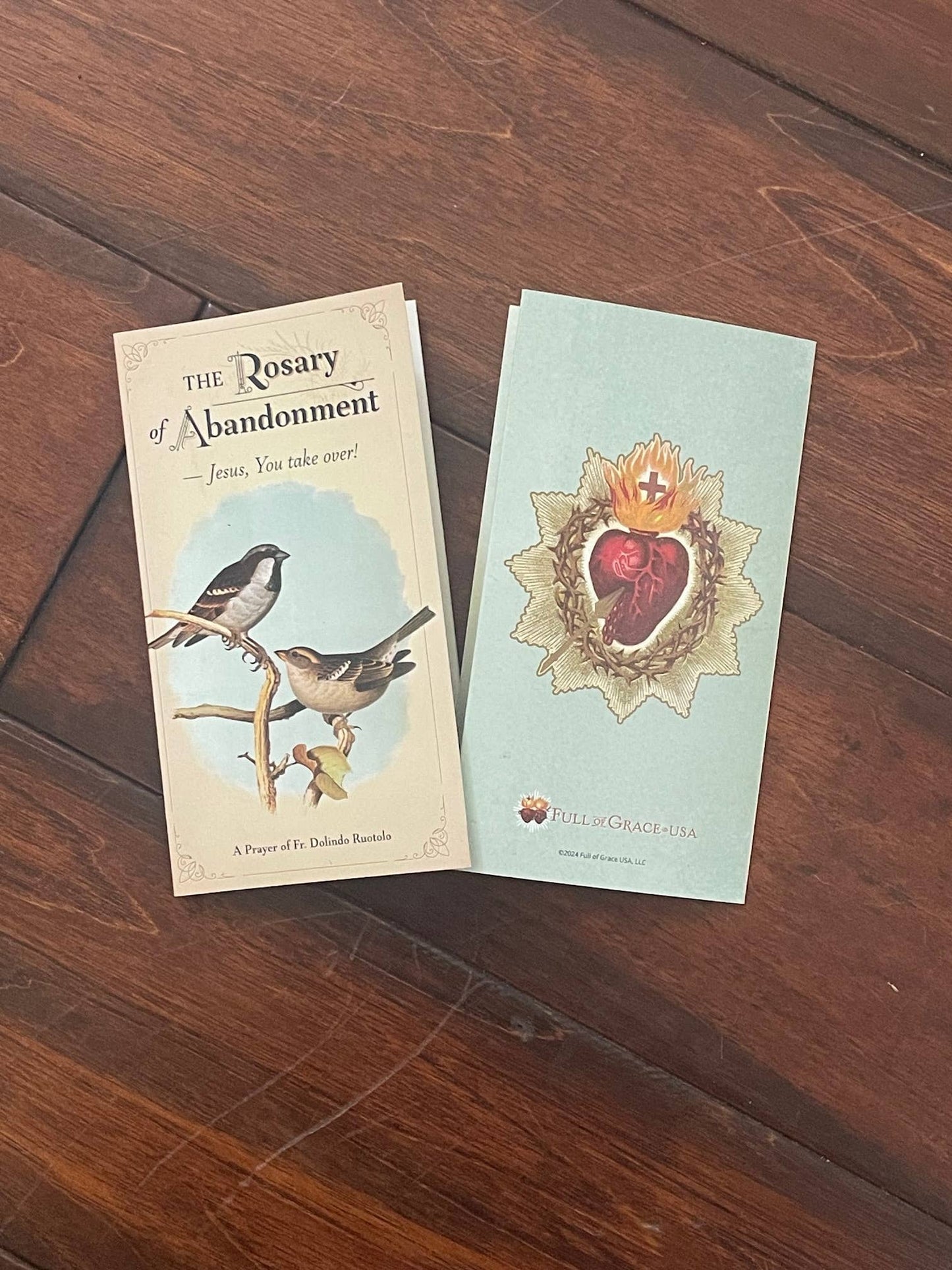 The Rosary of Abandonment - Jesus, You take over!
