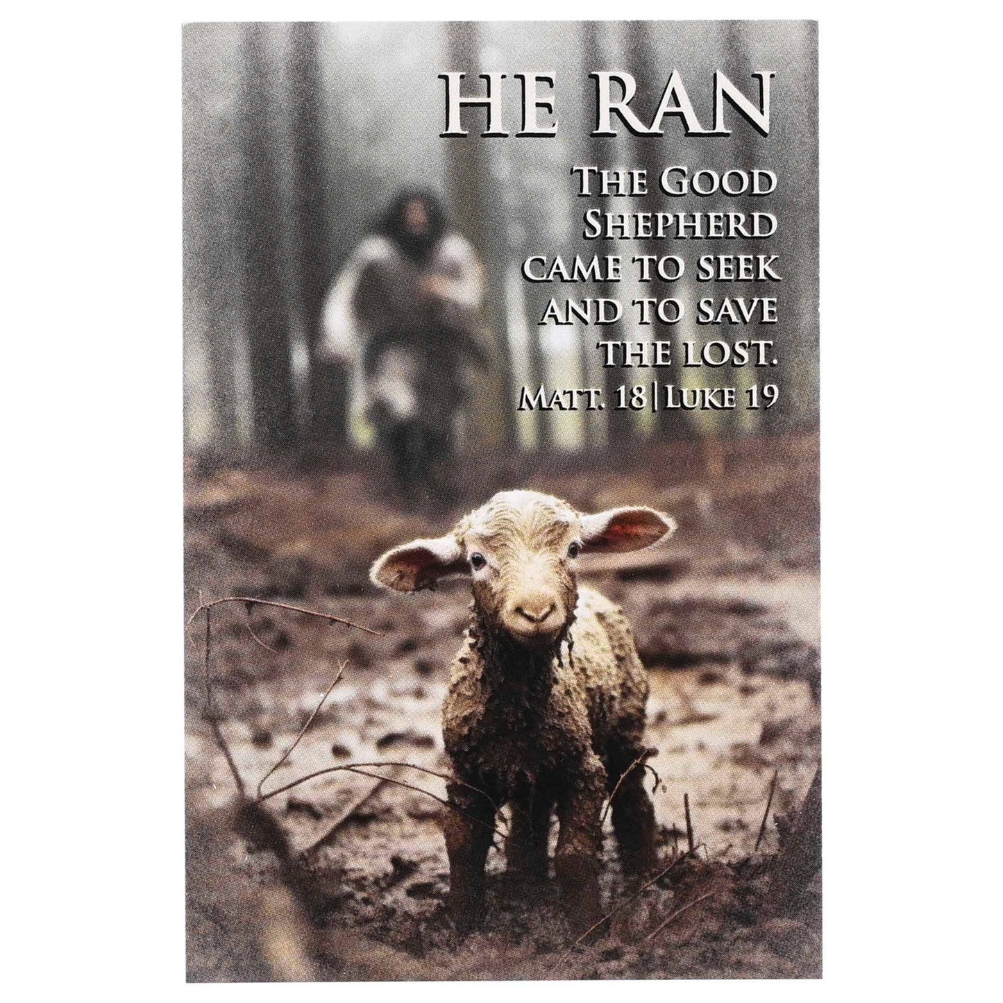 Itty Bitty Card Assortment Good Shepherd
