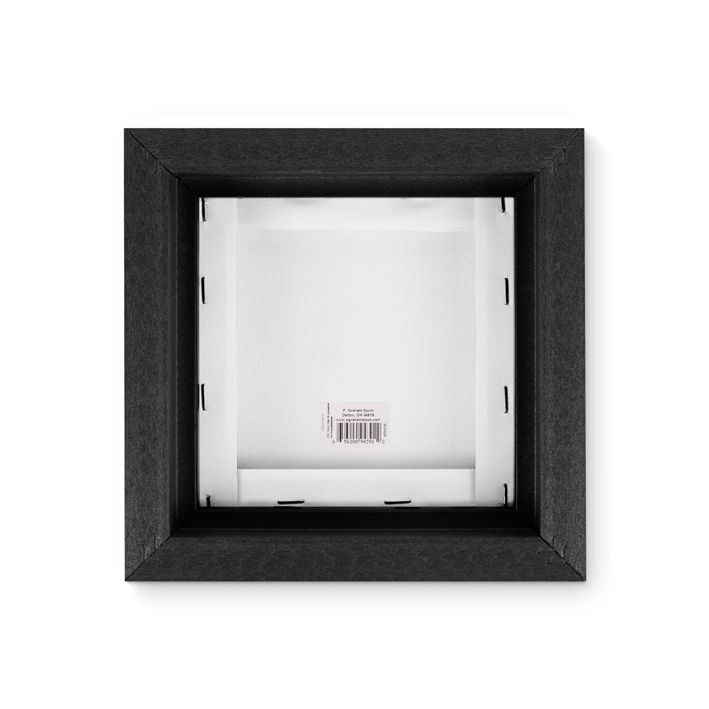 When Life Gives You More Than You Can Stand Framed Canvas