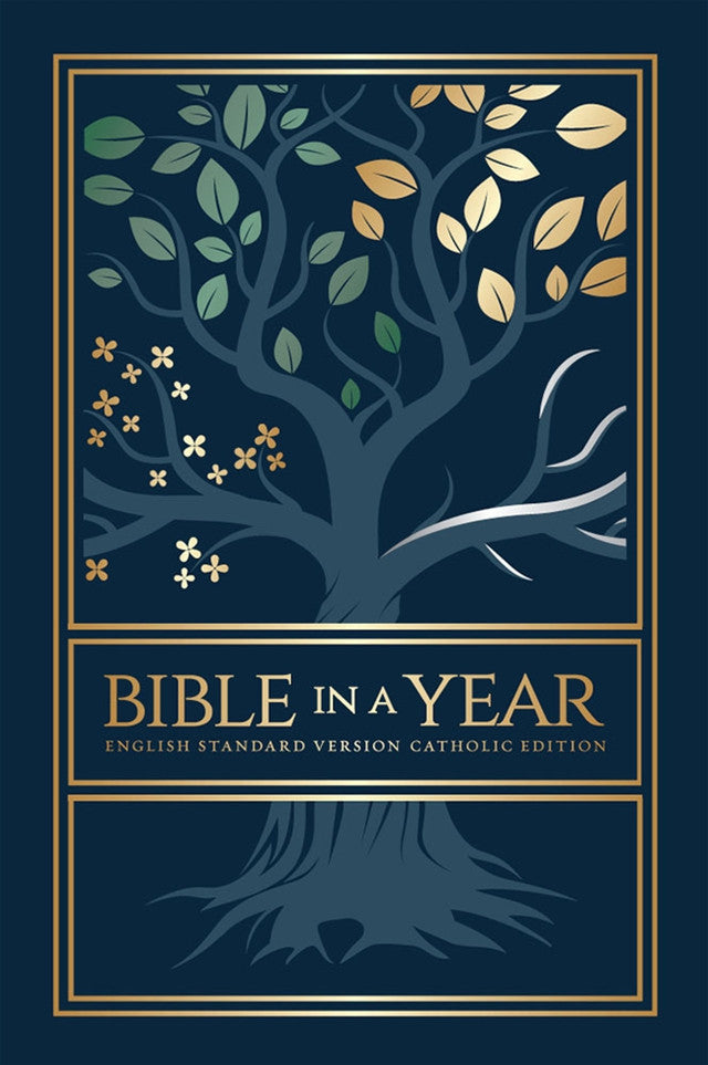 Bible in a Year (Paperback)