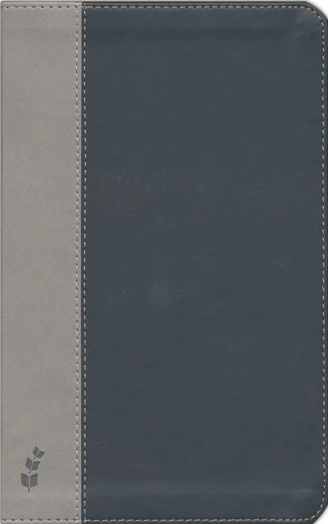 ERV Duotone Bible, Black/Grey - English