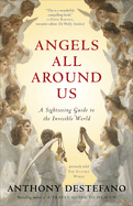 Angels All Around Us: A Sightseeing Guide to the Invisible World, Anthony DeStefano