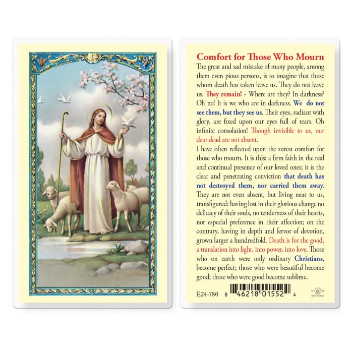 Holy Card - Laminated - E24-780 Comfort for those who Mourn