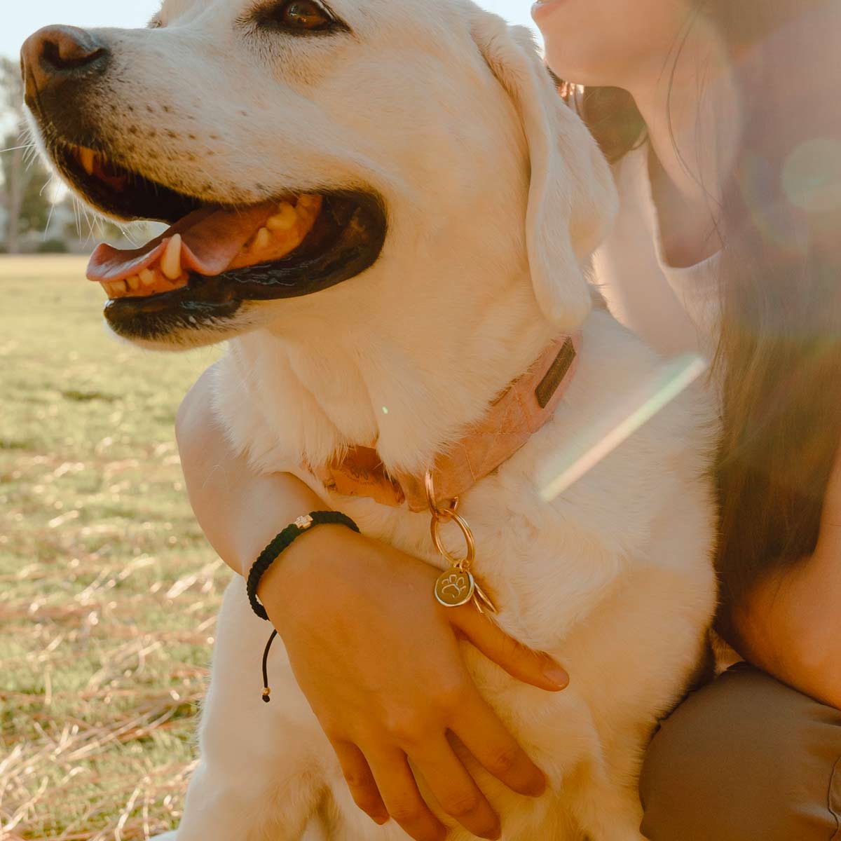Pet Blessings Woven Bracelet & Pet Tag Set (Gold)
