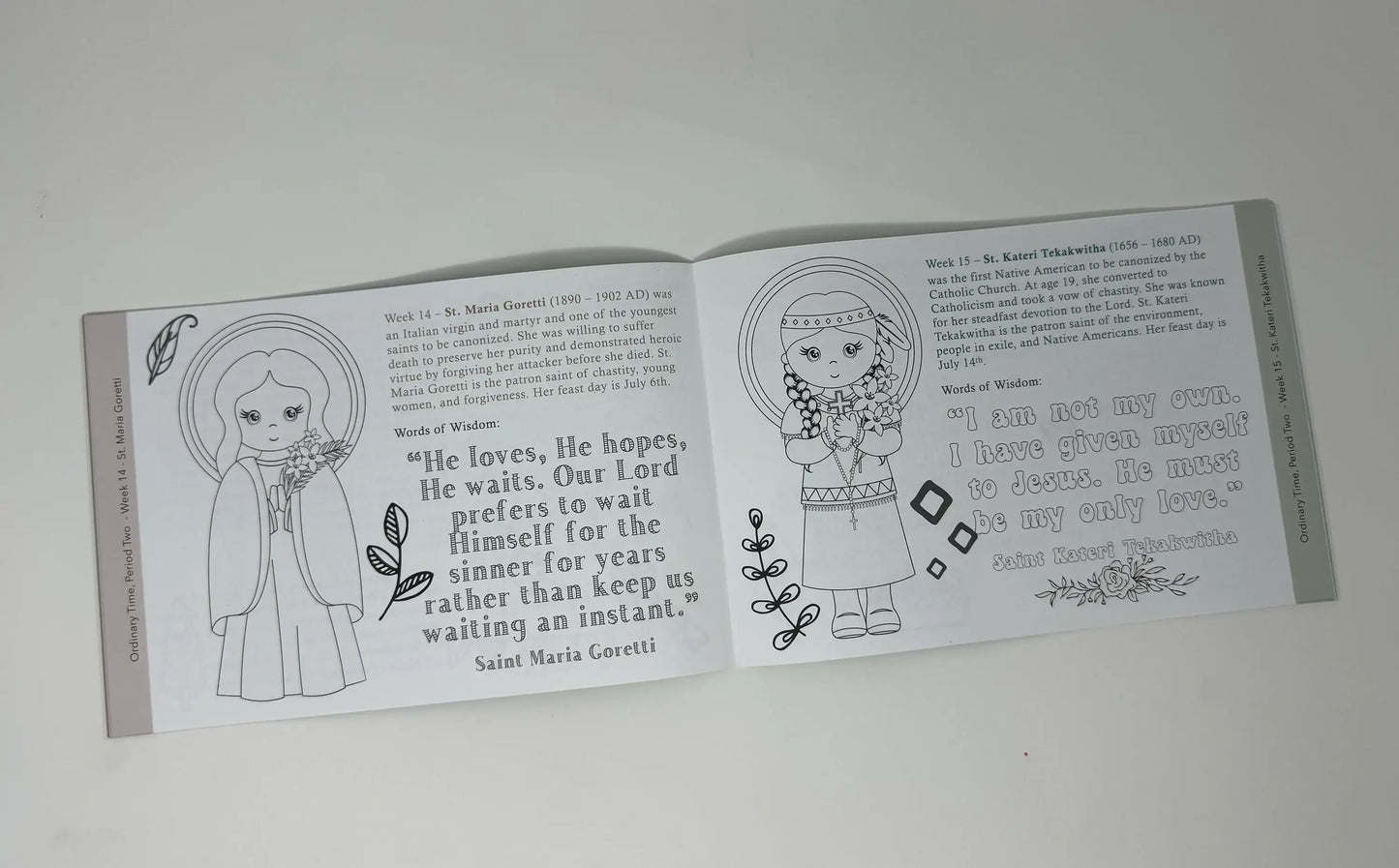 The Liturgical Living Catholic Bundle. Catholic gift Bundle.