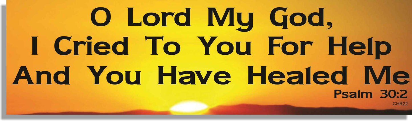 Psalm 30:2 - Christian Bumper Sticker, Car Magnet