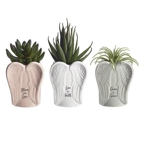 4"H ANGEL WING PLANTERS 3 ASST IN GIFT BOX FAITH PLANTS SEED