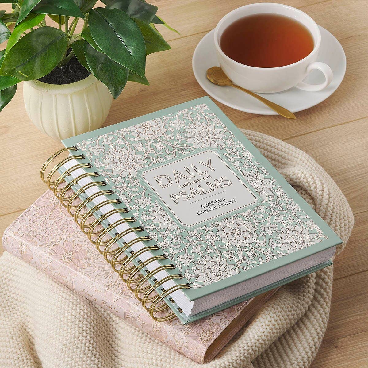 Daily Through the Psalms: 365 day creative journal (spiral)