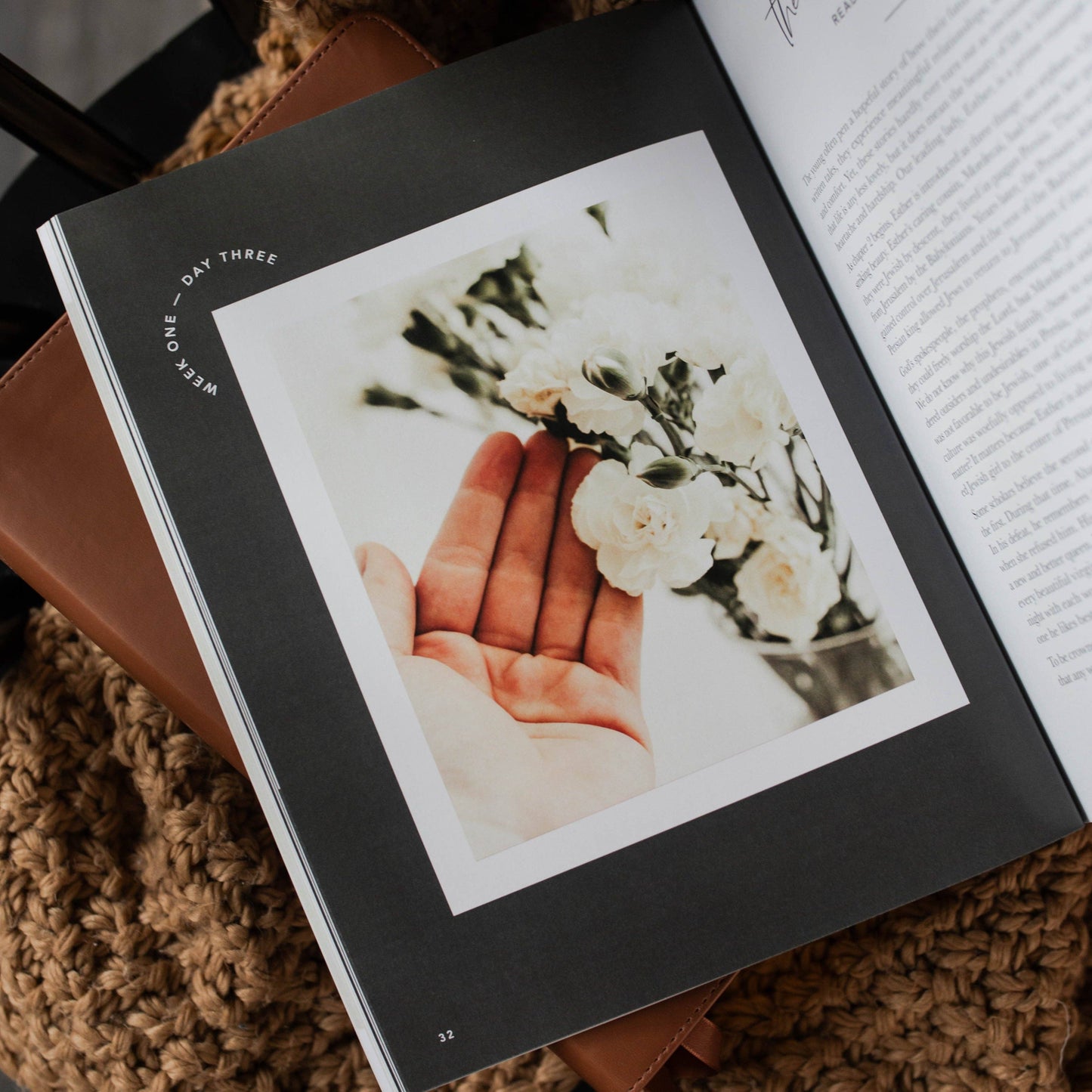 Bible Study: Esther | Seeing God When He Is Silent