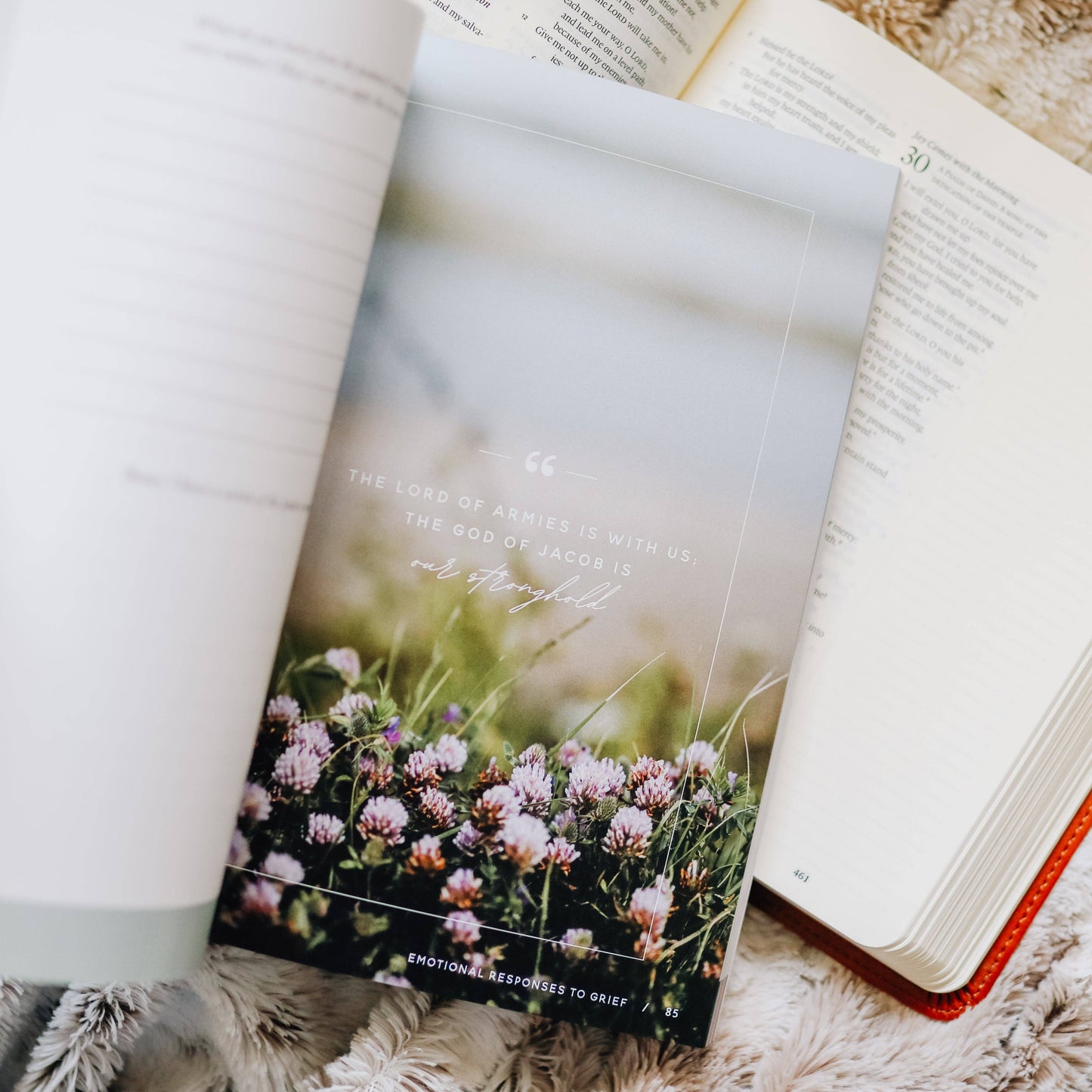 Bible Study: Gospel Hope in Grief and Loss