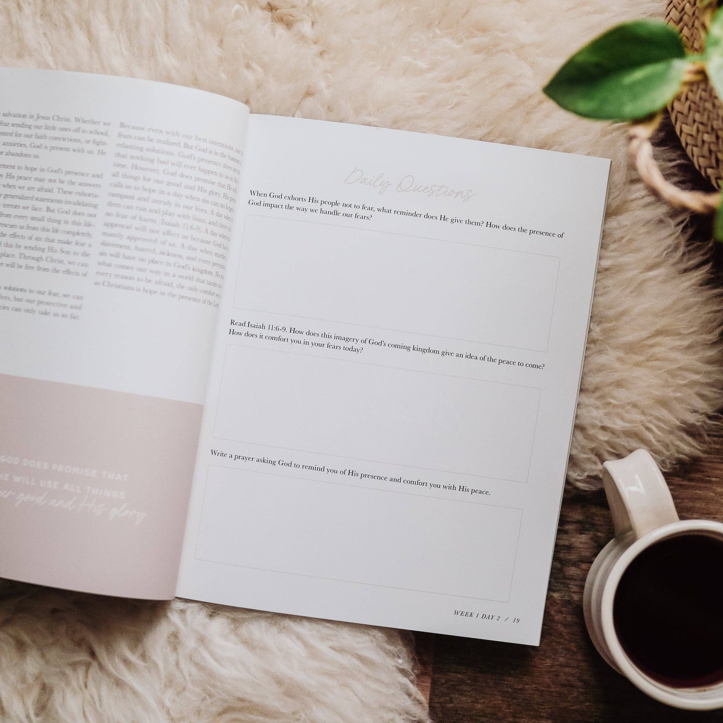 Bible Study: When Fear Meets Faith