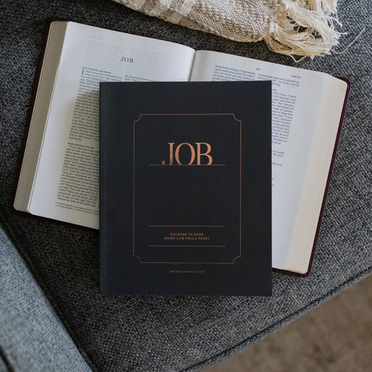 Bible Study: Job | Holding to Hope When Life Falls Apart - Men