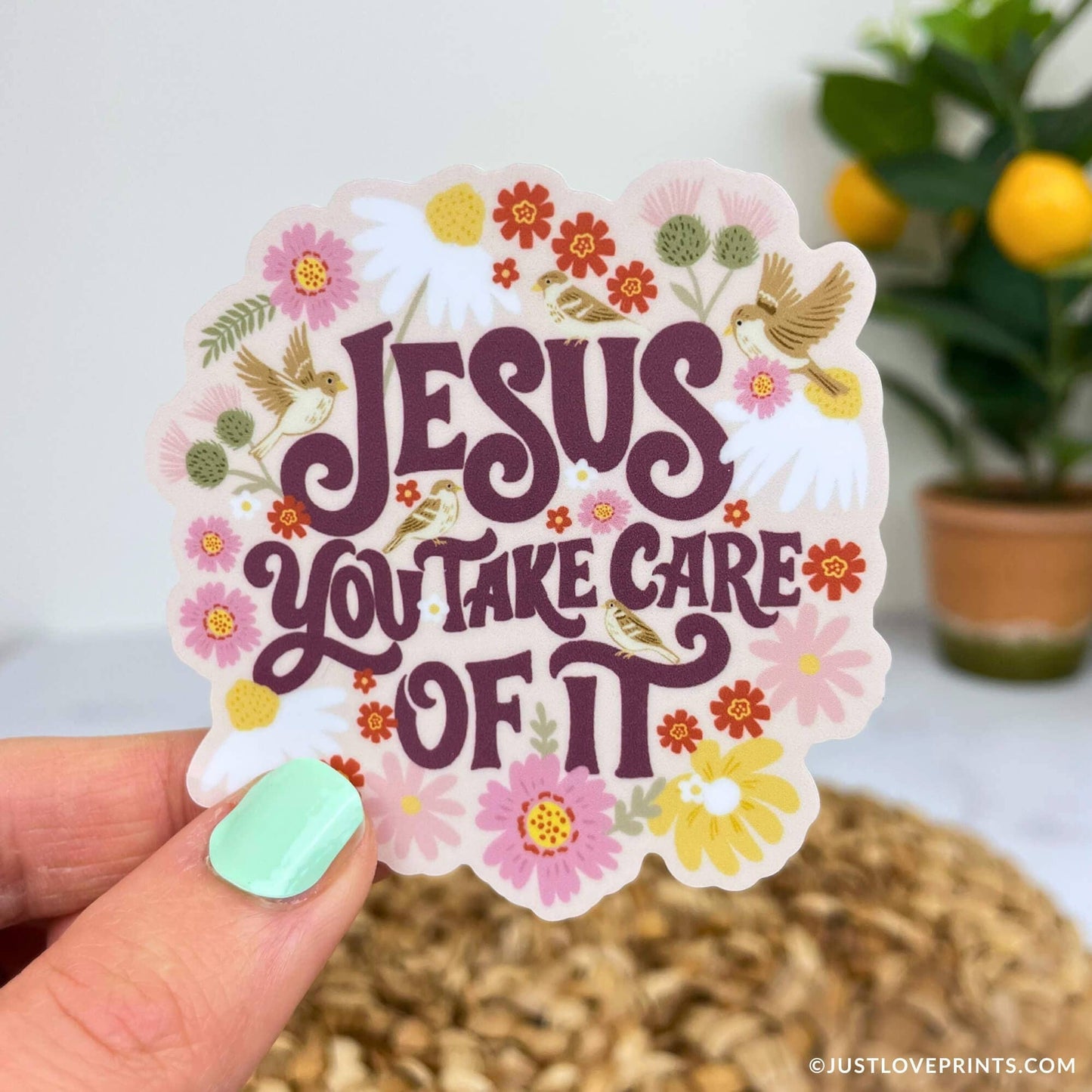 Jesus, You Take Care of It Vinyl Sticker