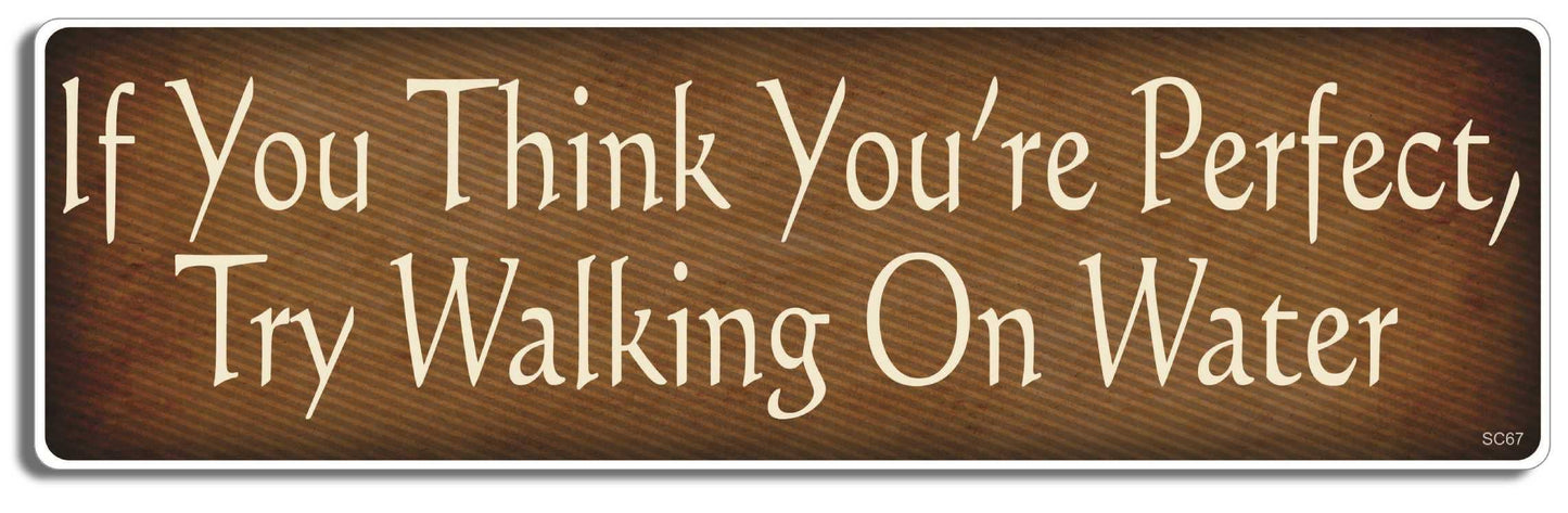 If You Think You're Perfect, Try Walking on Water - Christian Bumper Sticker, Car Magnet