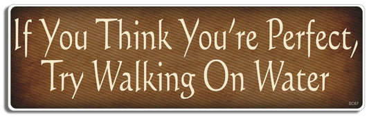 If You Think You're Perfect, Try Walking on Water - Christian Bumper Sticker, Car Magnet