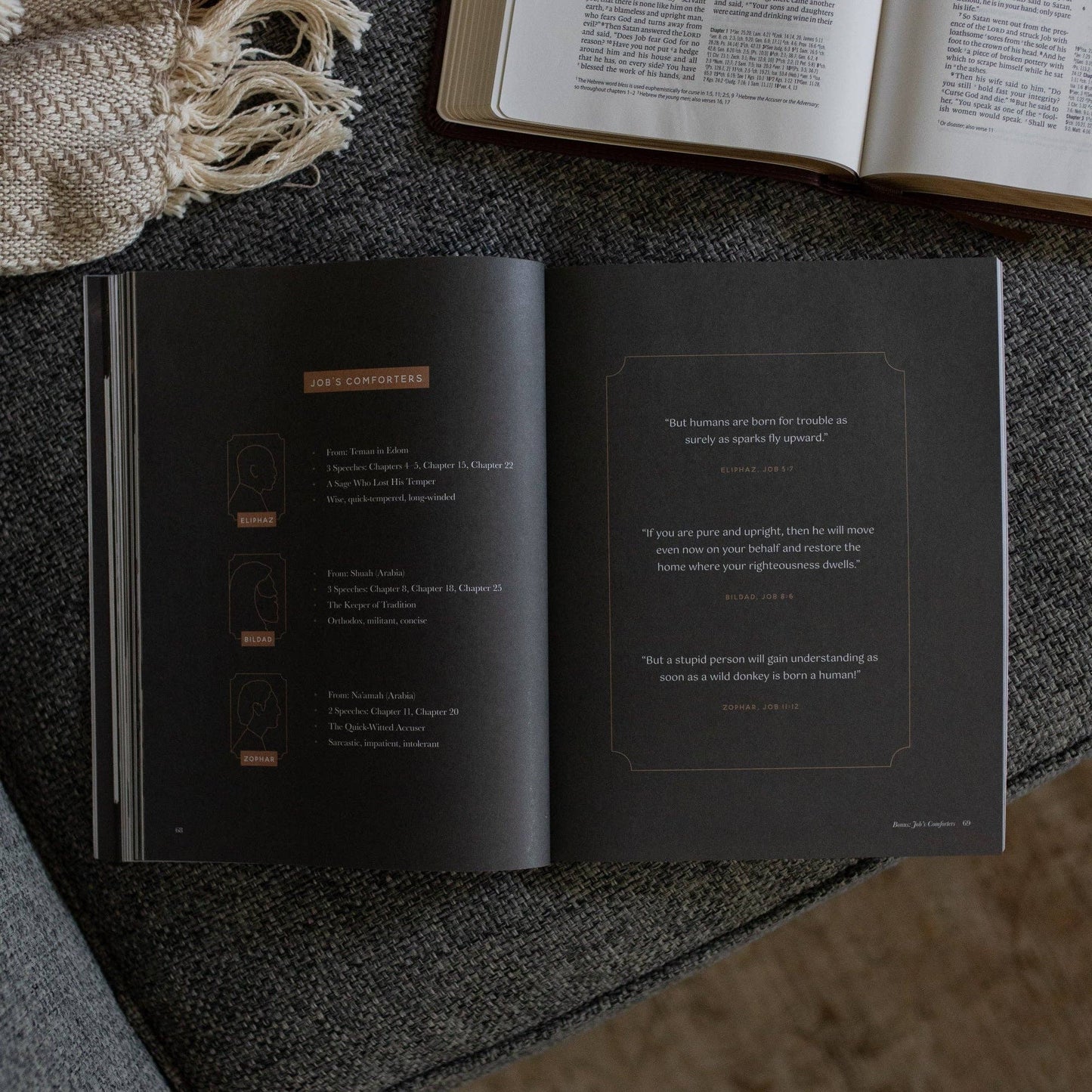 Bible Study: Job | Holding to Hope When Life Falls Apart - Men