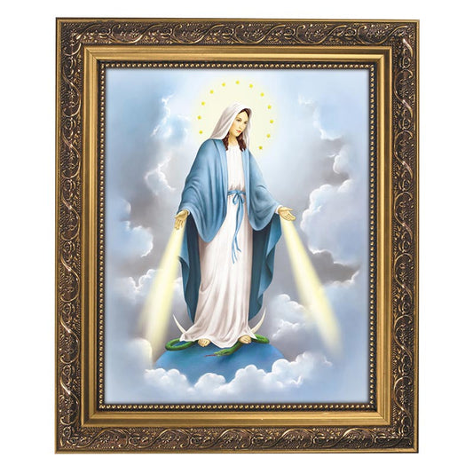 Our Lady of Grace Gold Tone Framed Print