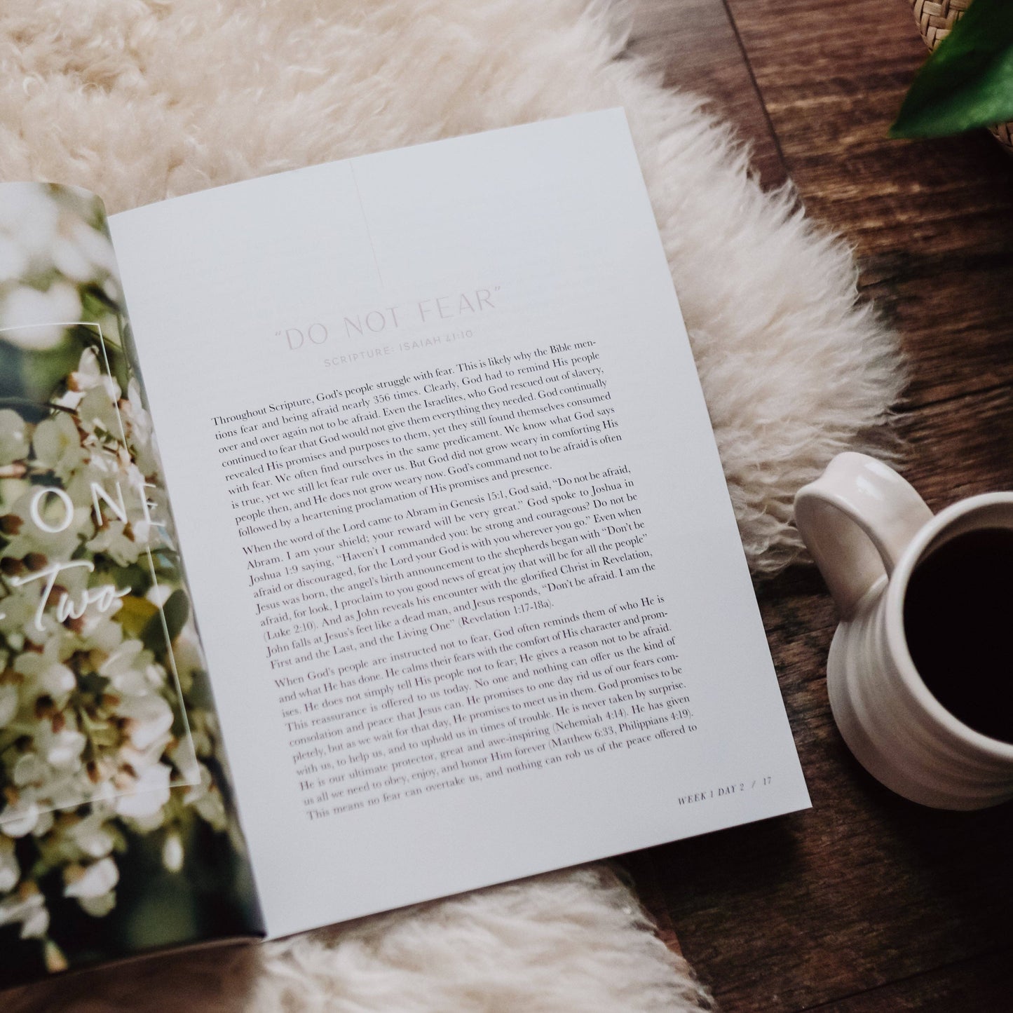 Bible Study: When Fear Meets Faith