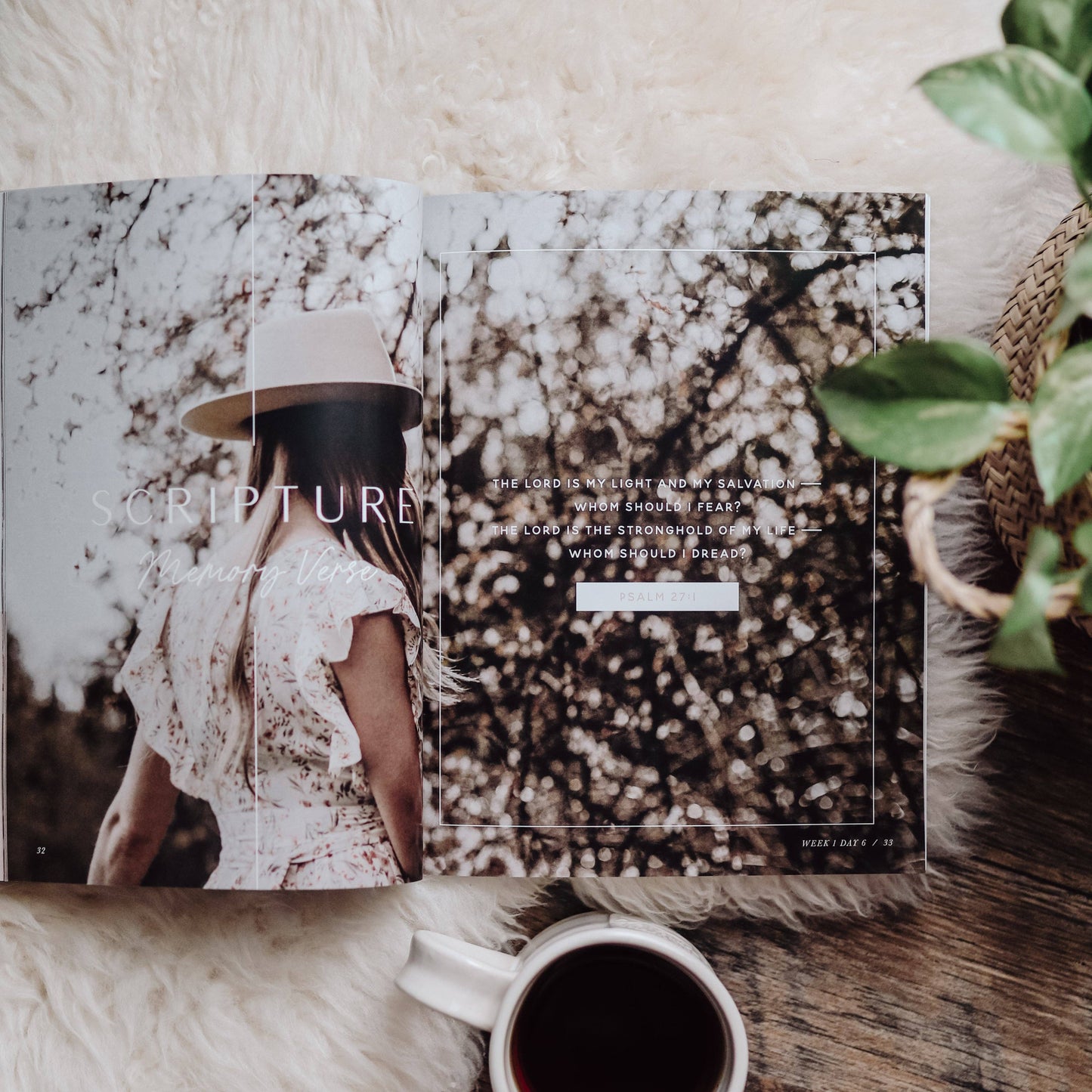 Bible Study: When Fear Meets Faith
