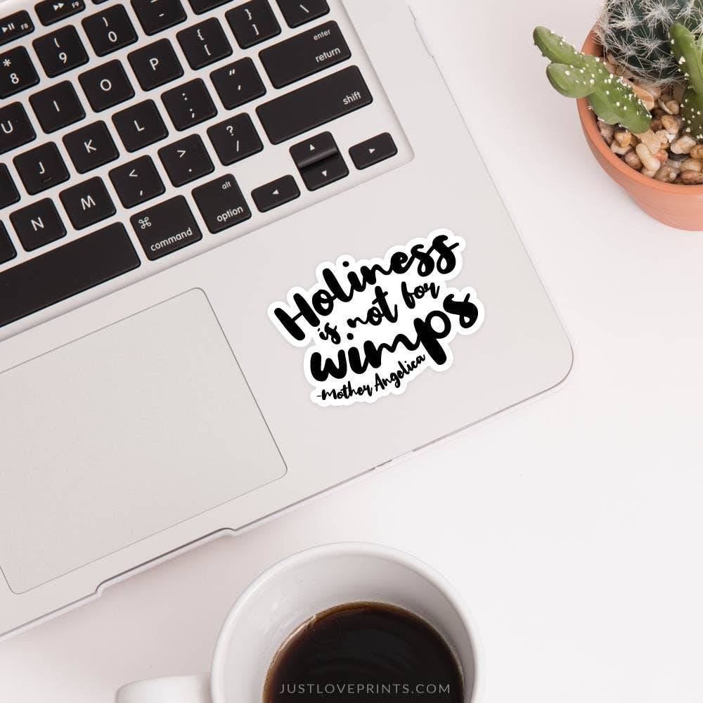 Holiness is Not for Wimps Vinyl Sticker