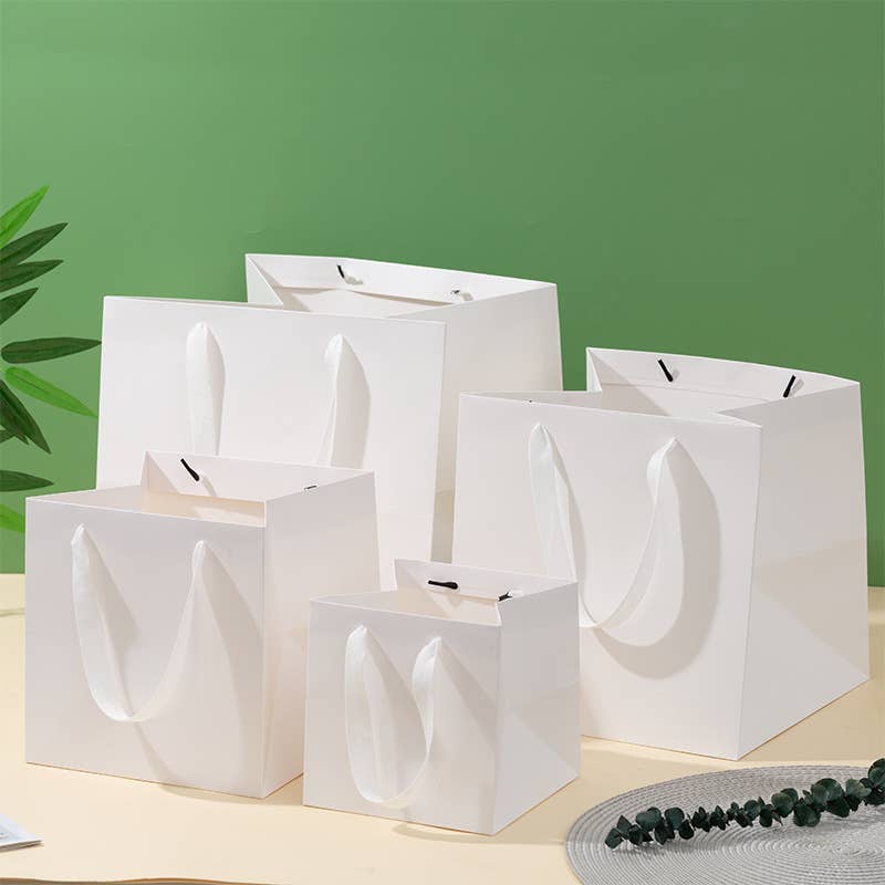 Square white paper gift bag with free tissue