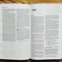 NIV Thinline Bible For Teens (Pink)