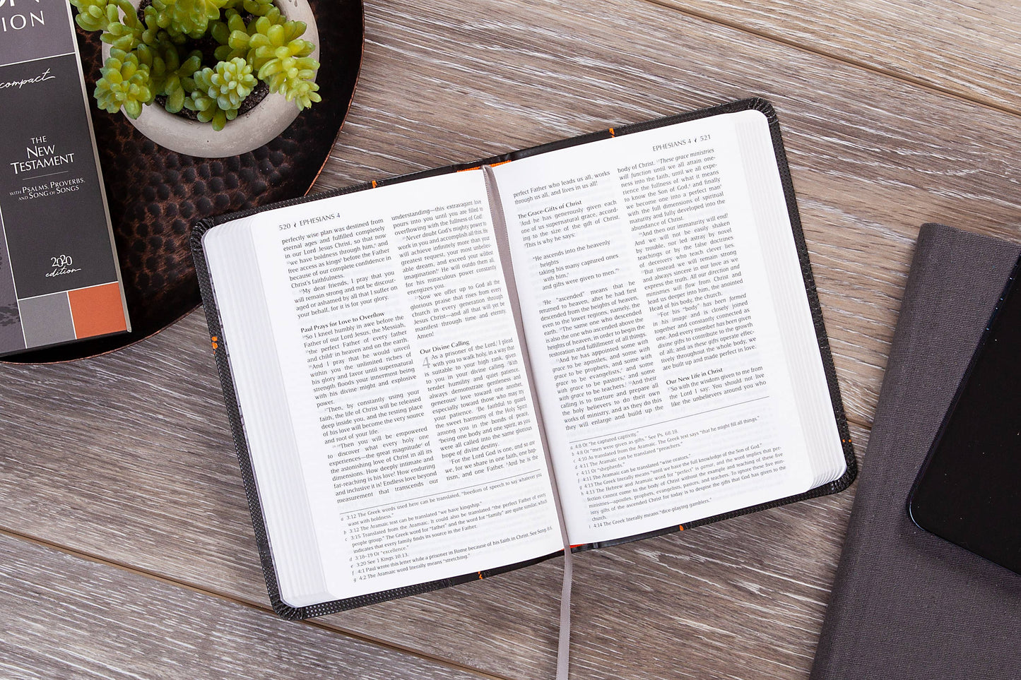 The Passion Translation