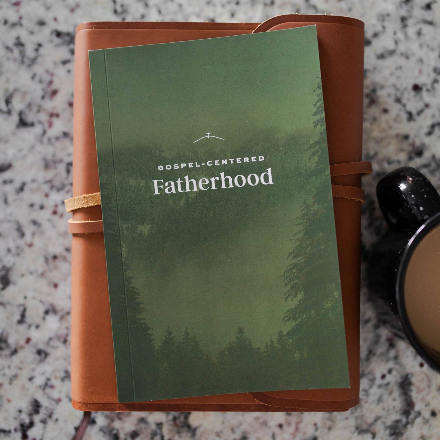 Bible Study: Gospel-Centered Fatherhood