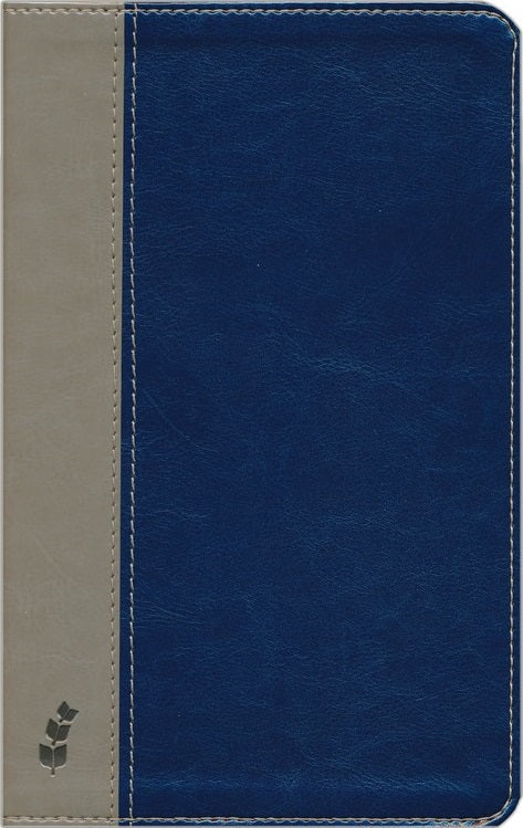 ERV Duotone Bible, Blue/Grey - English