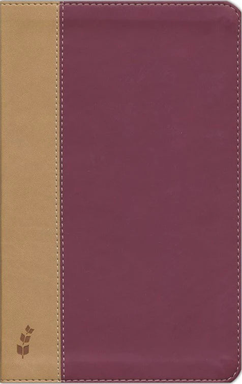 ERV Duotone Bible, Burgundy/Tan - English