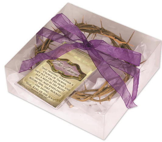 6" Crown Of Thorns