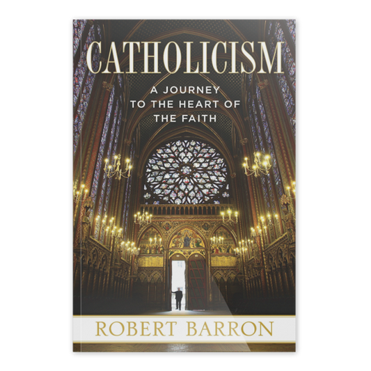 Catholicism, Bishop Robert Barron