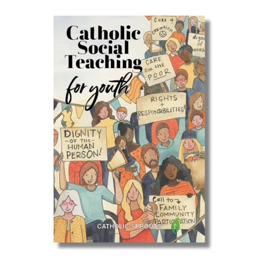 Catholic Social Teaching for Youth