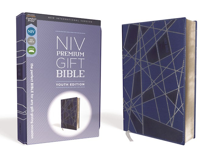 NIV Bible Youth