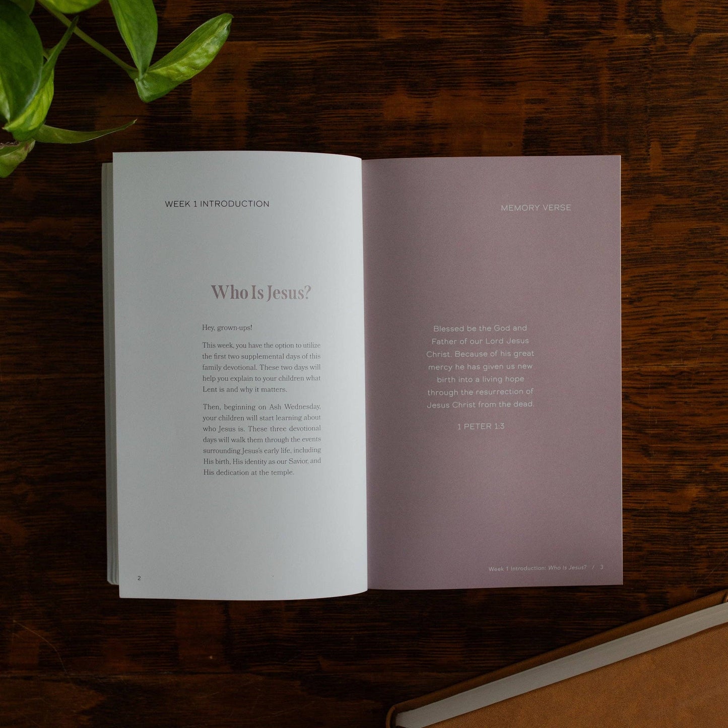 Walking With Jesus Family Lent Devotional