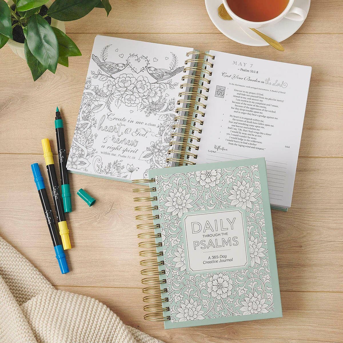 Daily Through the Psalms: 365 day creative journal (spiral)