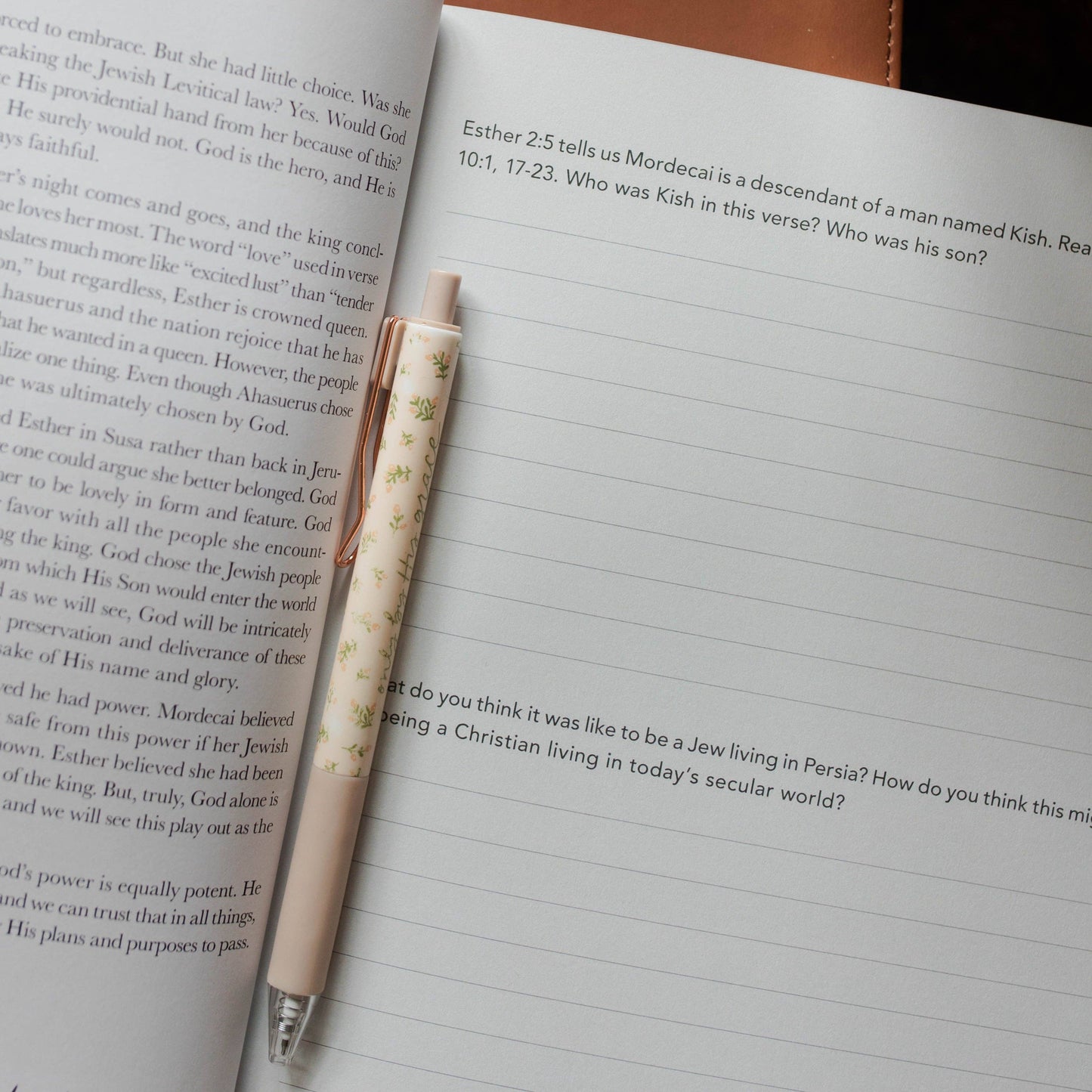 Bible Study: Esther | Seeing God When He Is Silent