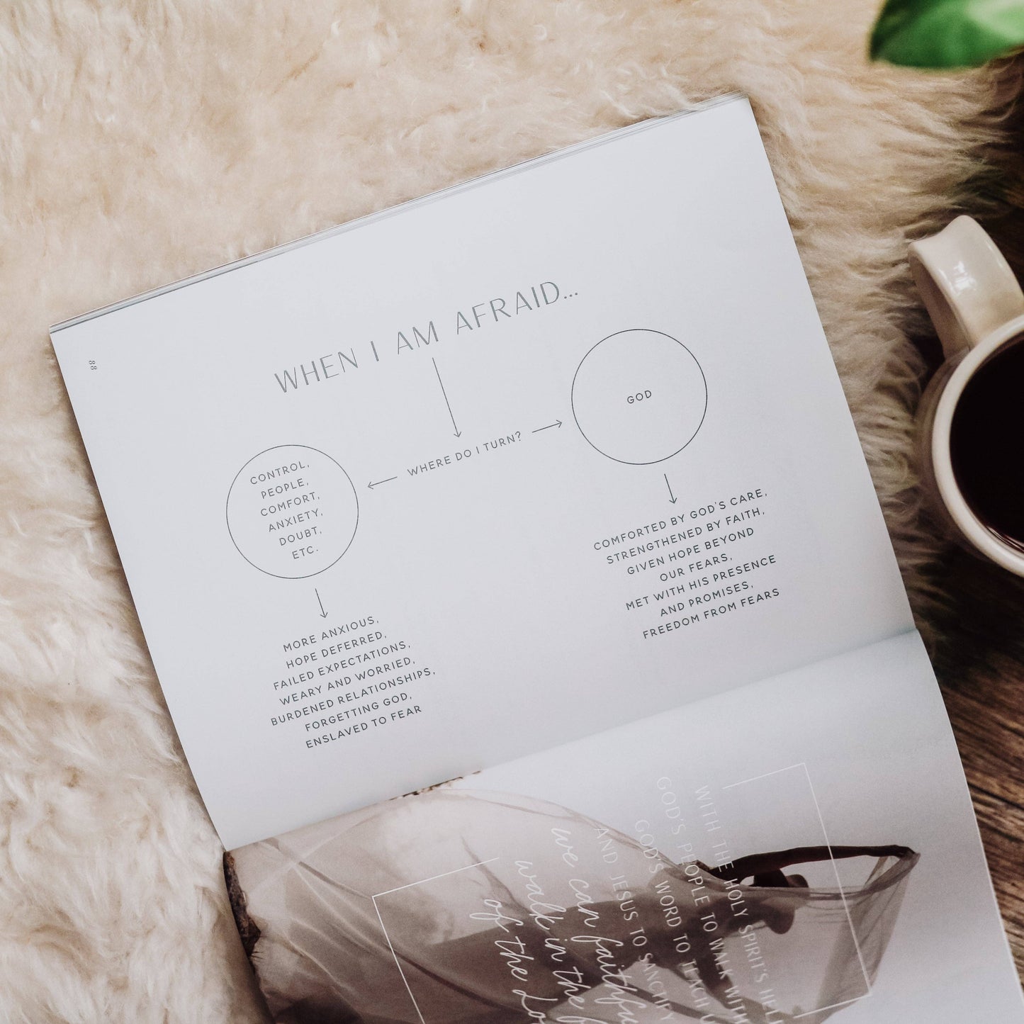 Bible Study: When Fear Meets Faith