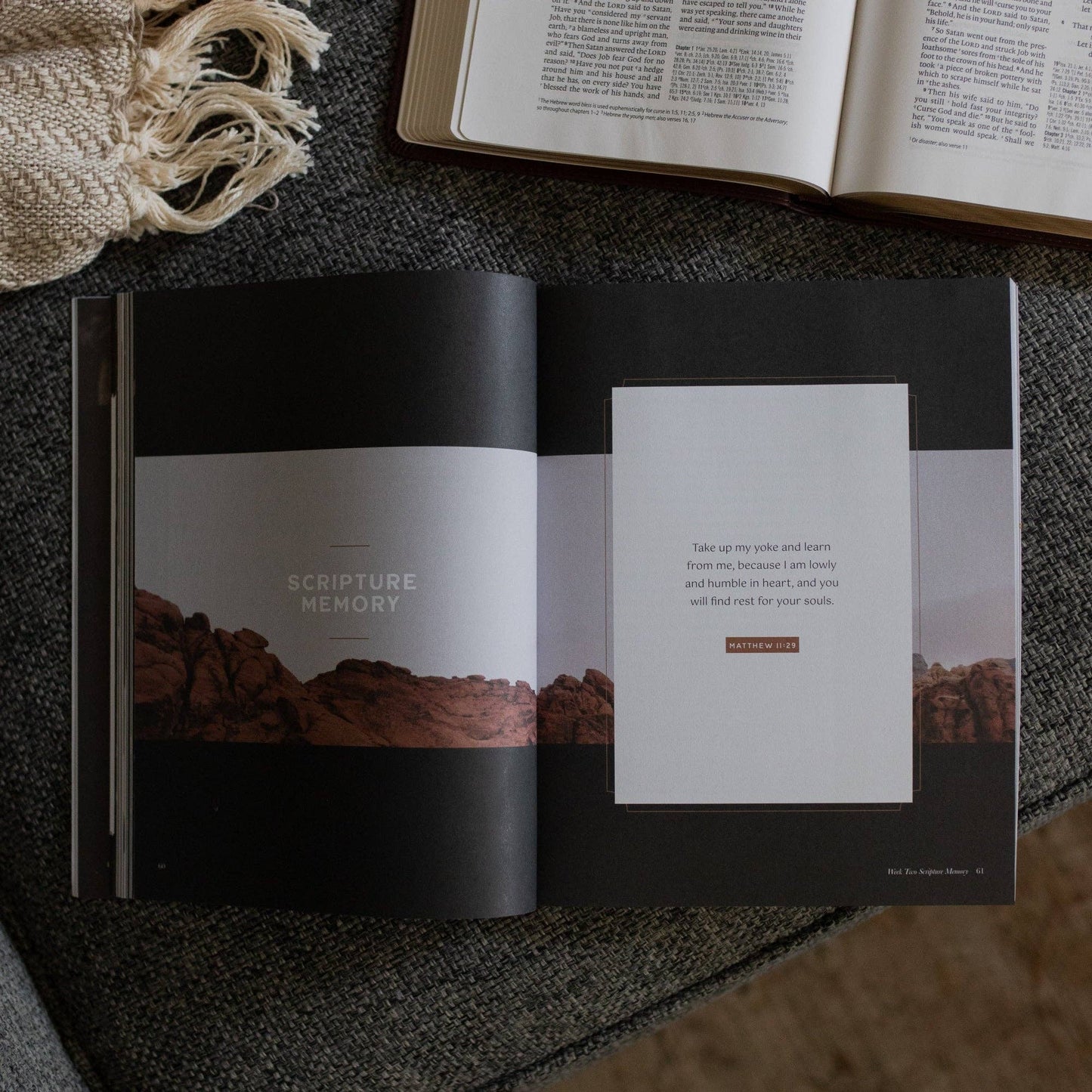 Bible Study: Job | Holding to Hope When Life Falls Apart - Men
