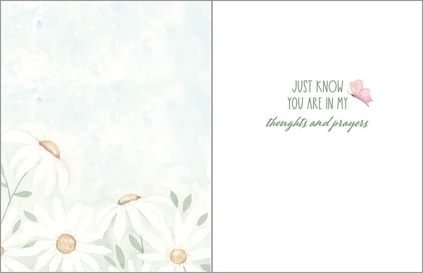 GC-Thinking of You Daisy Field
