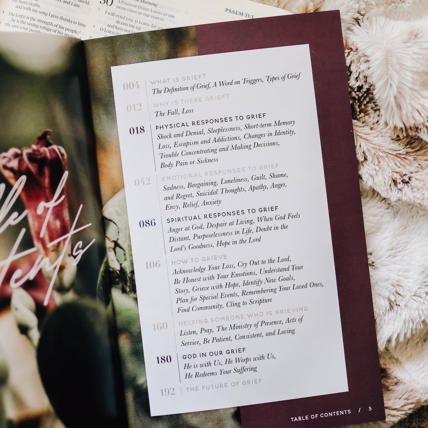 Bible Study: Gospel Hope in Grief and Loss