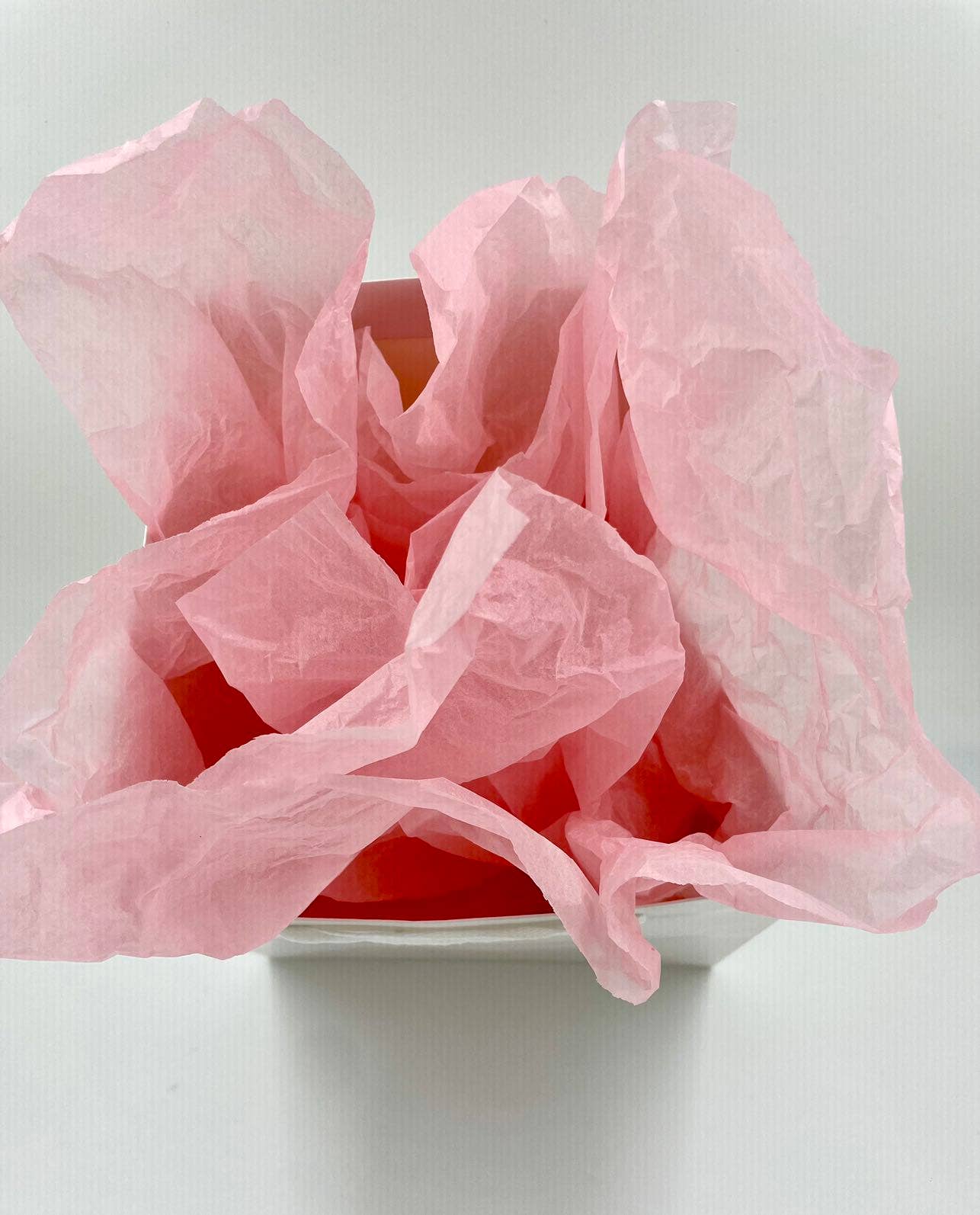 Square white paper gift bag with free tissue
