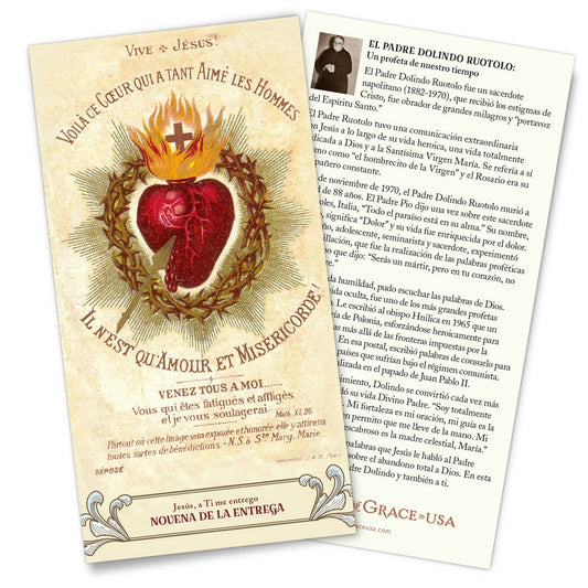 Surrender Novena (Standard) [SPANISH]