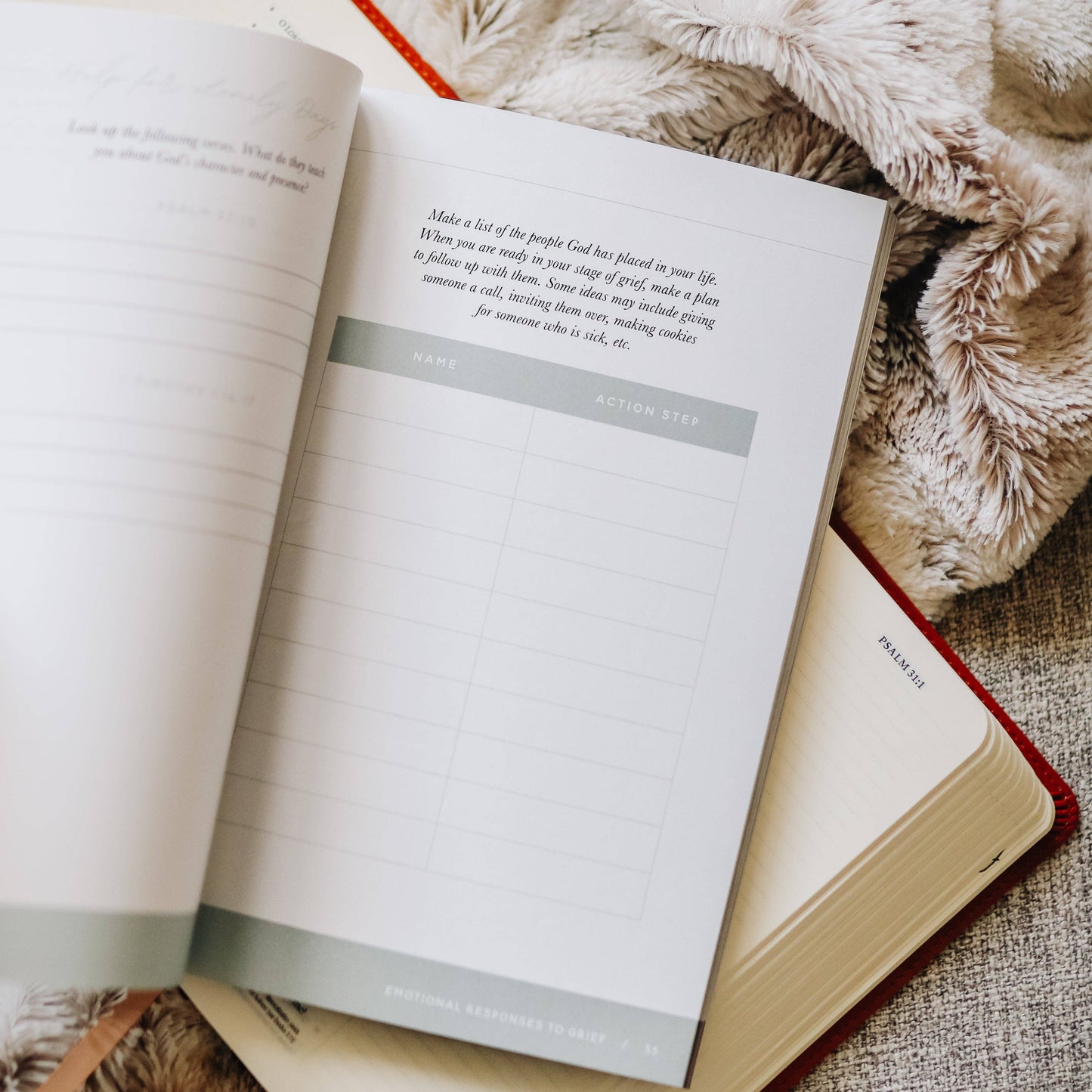 Bible Study: Gospel Hope in Grief and Loss