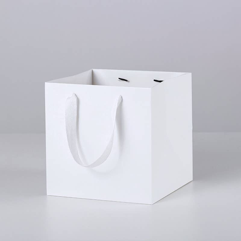 Square white paper gift bag with free tissue