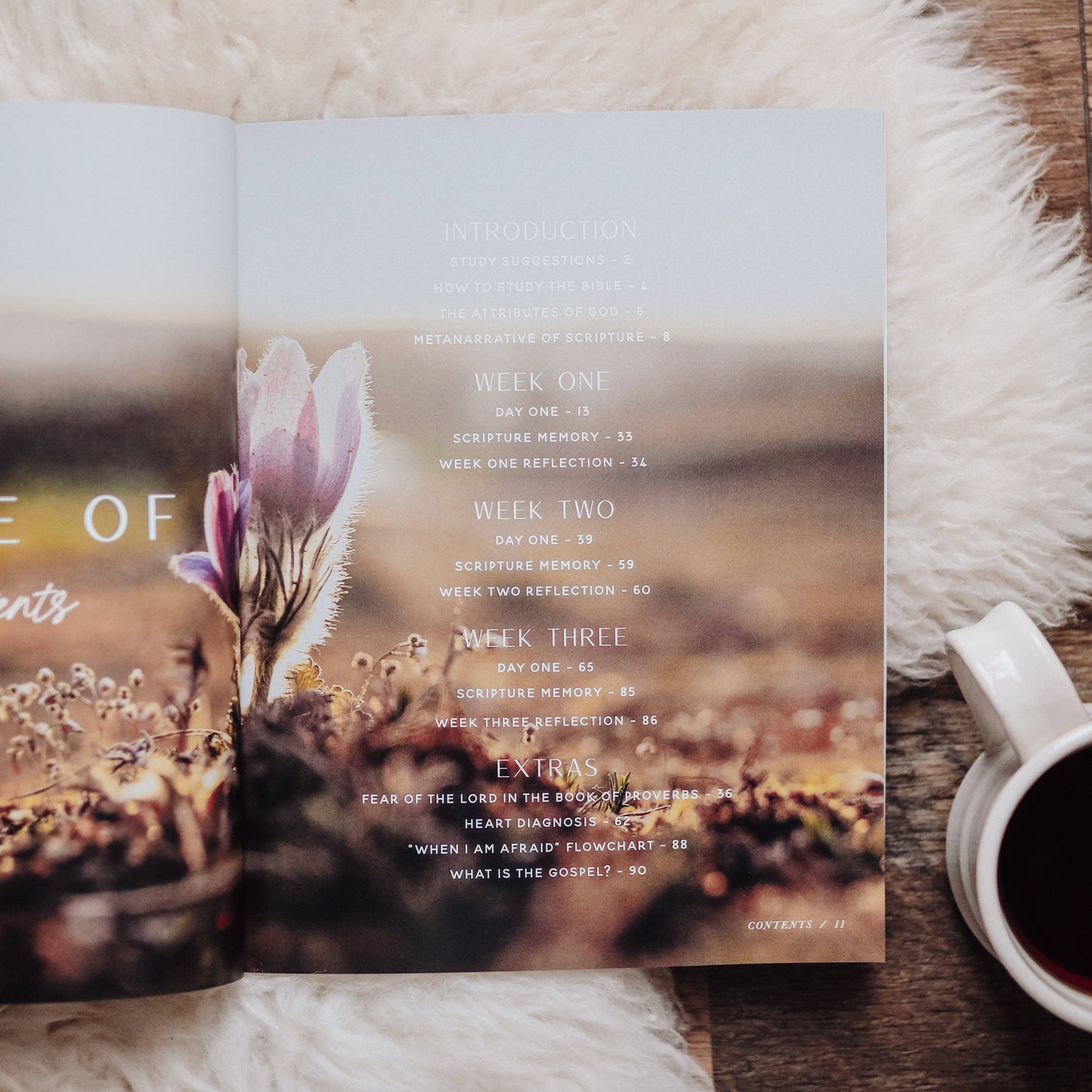 Bible Study: When Fear Meets Faith