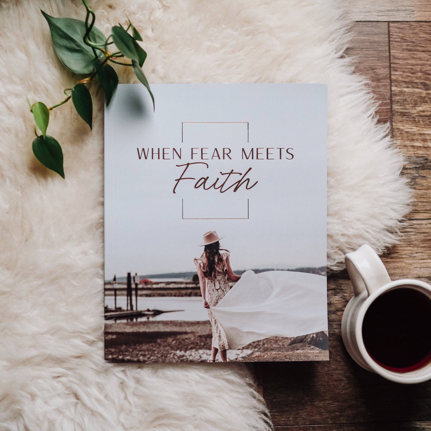 Bible Study: When Fear Meets Faith