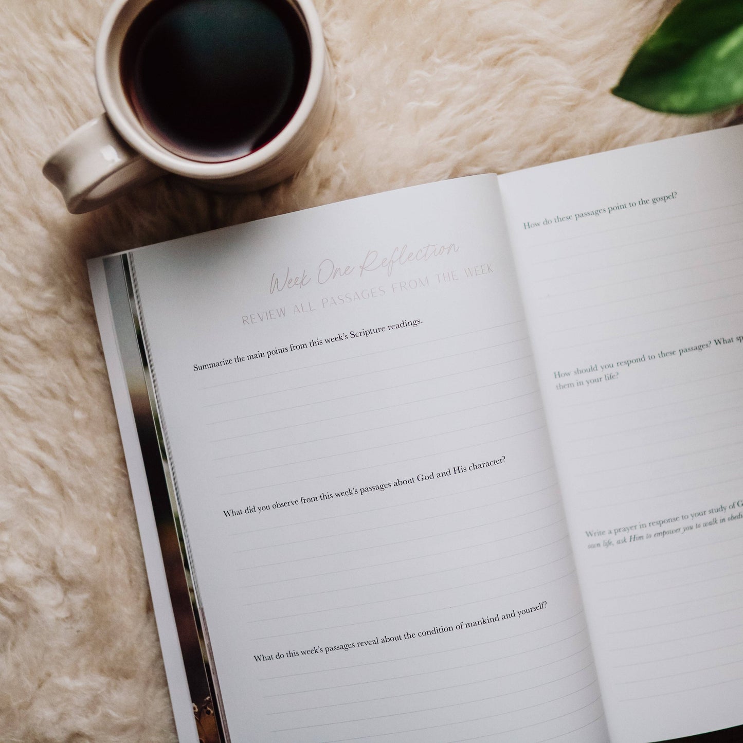 Bible Study: When Fear Meets Faith